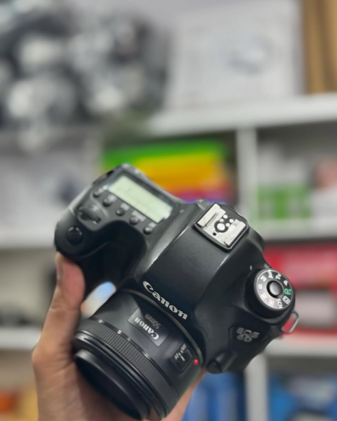 Canon 6D + lente 50mm (seminova) disponível!