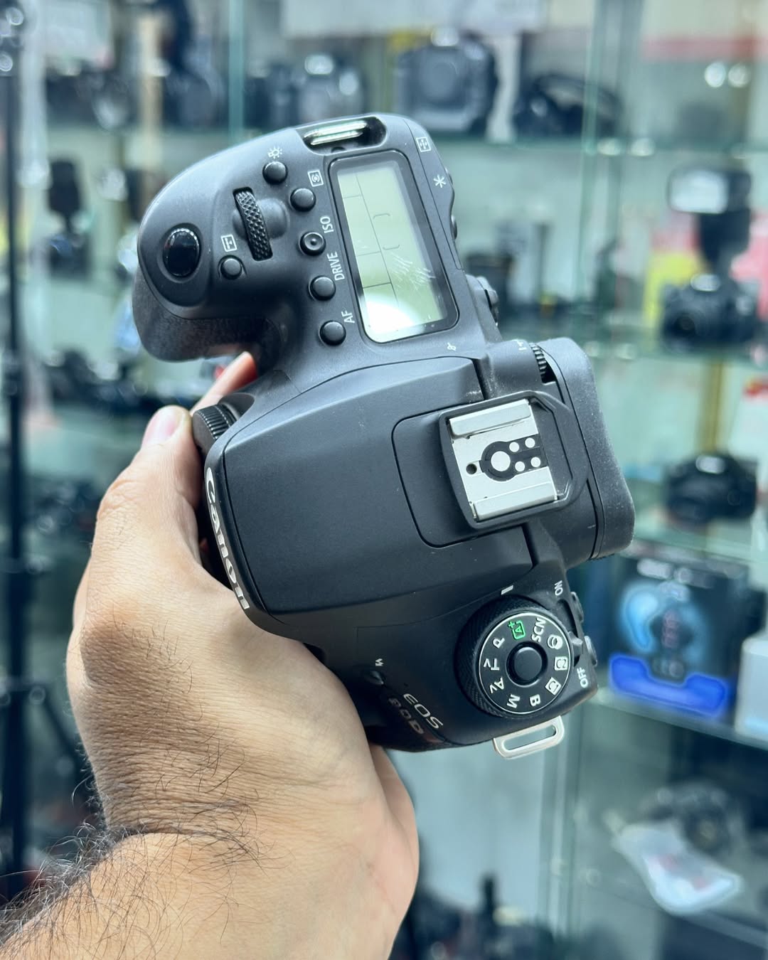 CANON 90D – Corpo Seminovo 🔥📸